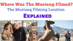 Where was the Mustang Filmed : Unveiling the Iconic Shooting Locations